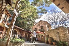 拝啓 小雪の候 ぬくもりの森7