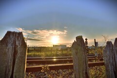 拝啓 小雪の候 豊岡6