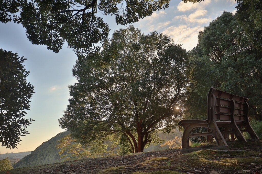 拝啓 立冬の候7