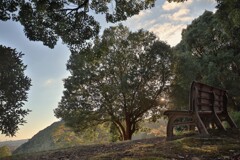 拝啓 立冬の候7