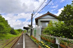 拝啓 夏至の候 天浜線9