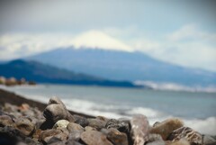 拝啓 冬至の候 三保7