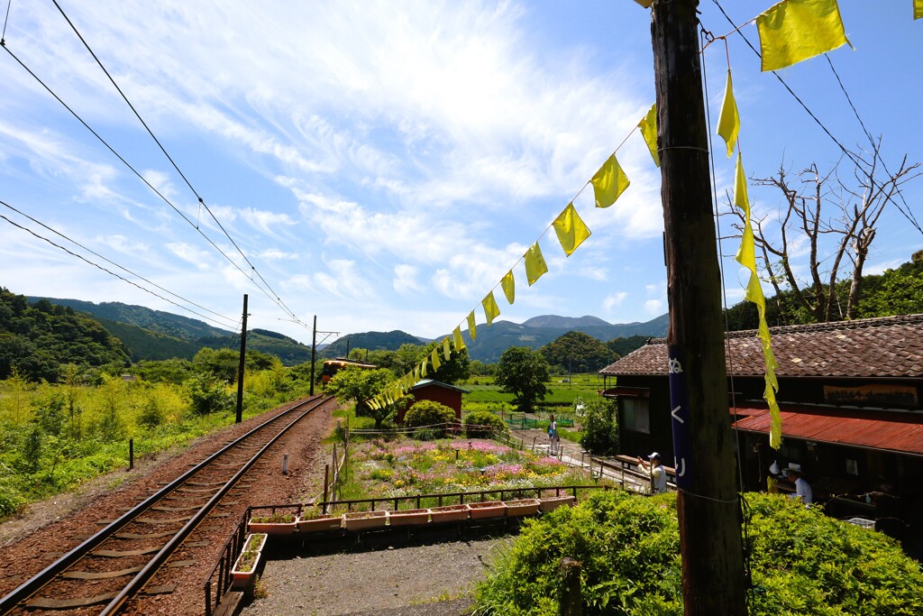 拝啓 小満の候 大井川鉄道2