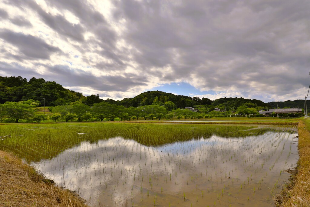 拝啓 穀雨の候 掛川2