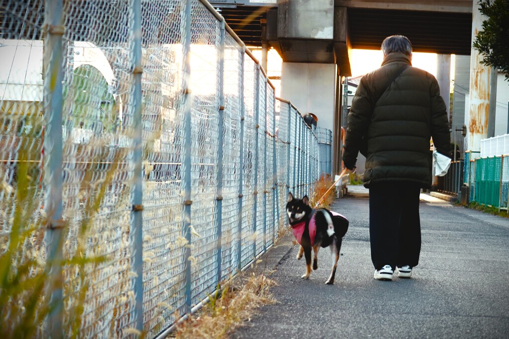 拝啓 小寒の候 散歩道8
