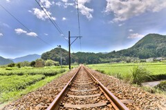 拝啓 処暑の候 抜里5