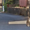 拝啓 春分の候 浜当目