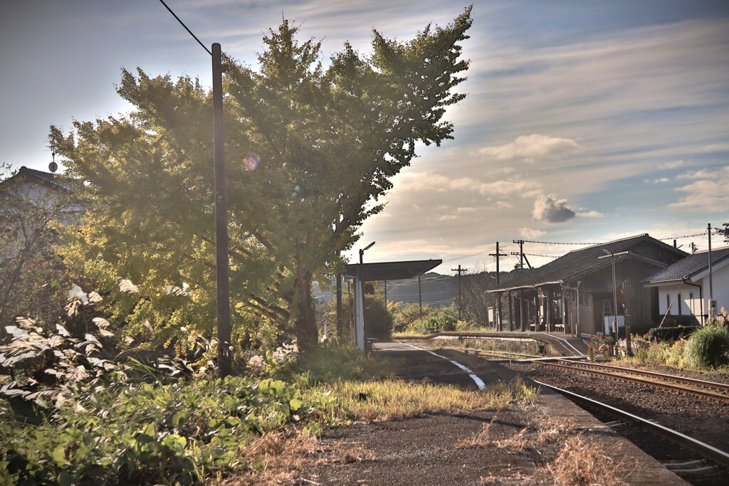 拝啓 小雪の候 遠江一宮5