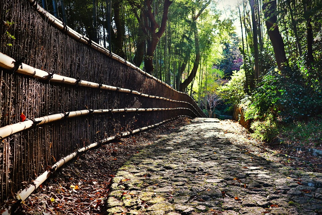 拝啓 小雪の候 浜松城公園6