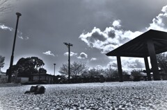 拝啓 清明の候 桜6