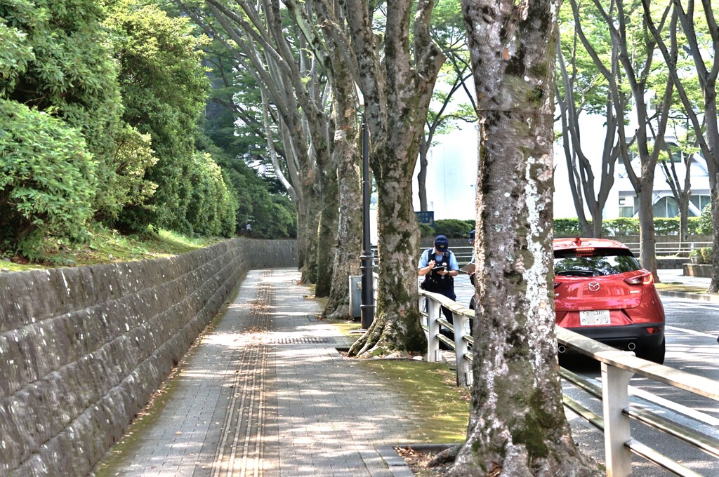 拝啓 小暑の候 静岡8