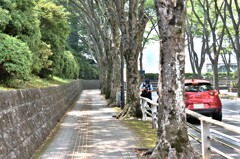 拝啓 小暑の候 静岡8