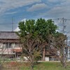 拝啓 寒露の候、掛川3