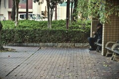 拝啓 小雪の候 浜松7