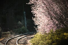 拝啓 雨水の候 天浜線3