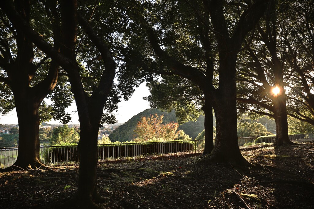 拝啓 立冬の候5