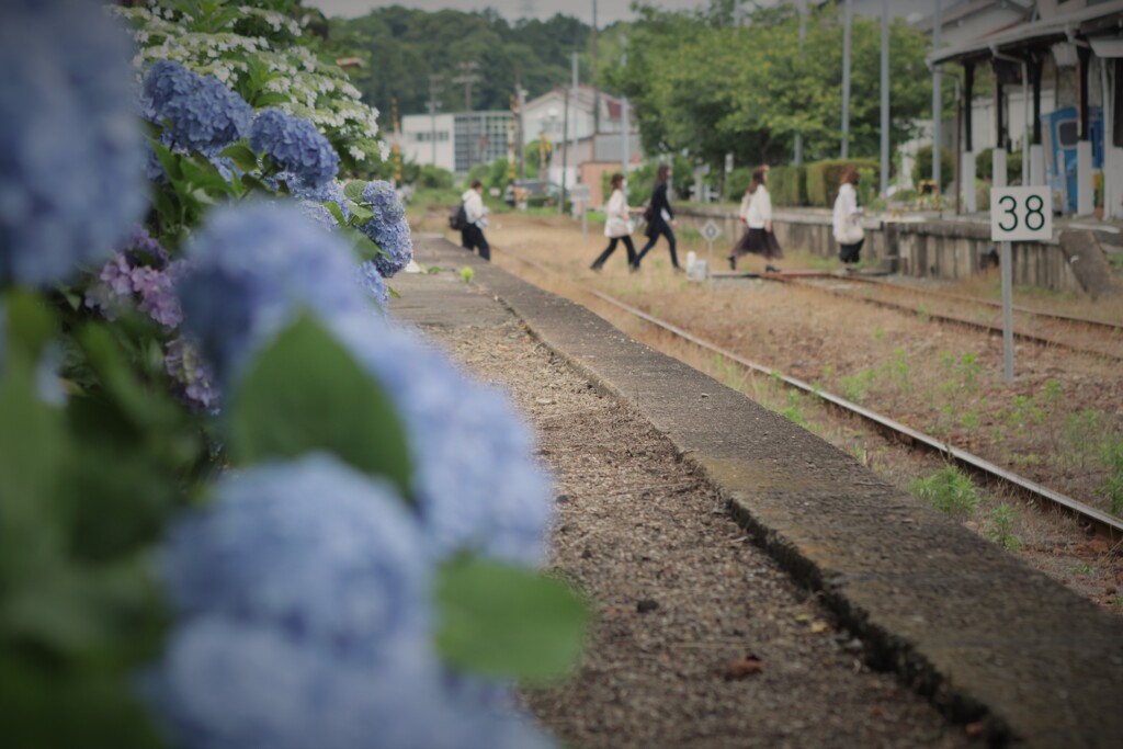 ある無人駅の情景 9