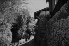 拝啓 小寒の候 花沢の里2