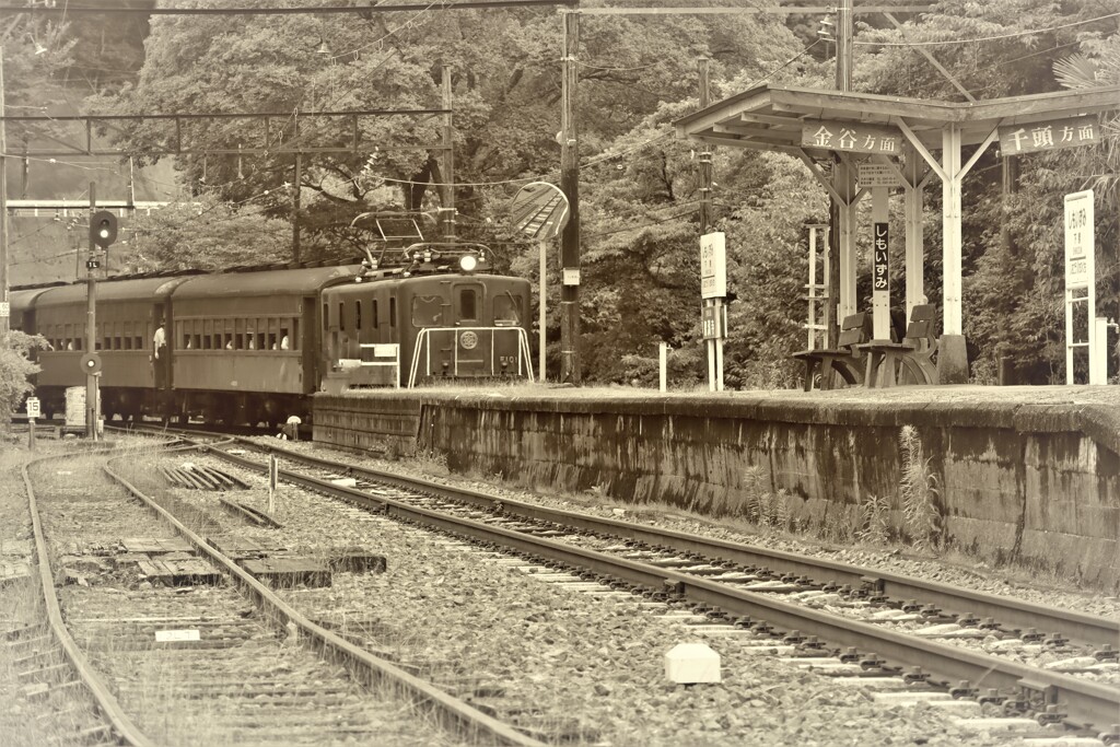 大井川鉄道に乗って 5