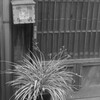 由比桜えび通りの日常2