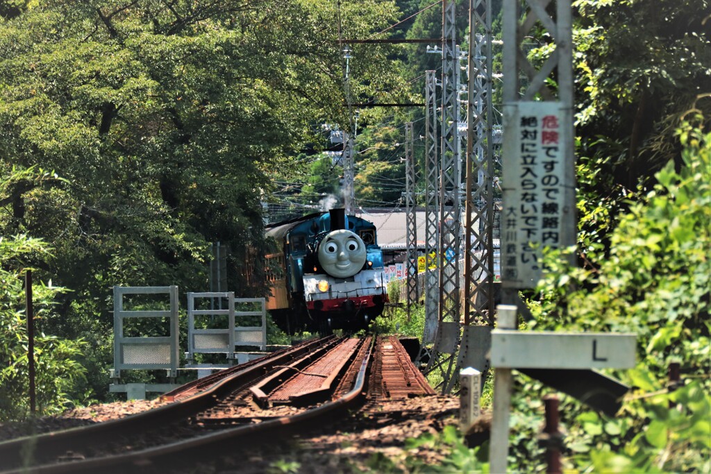 トーマスのはじめて物語14