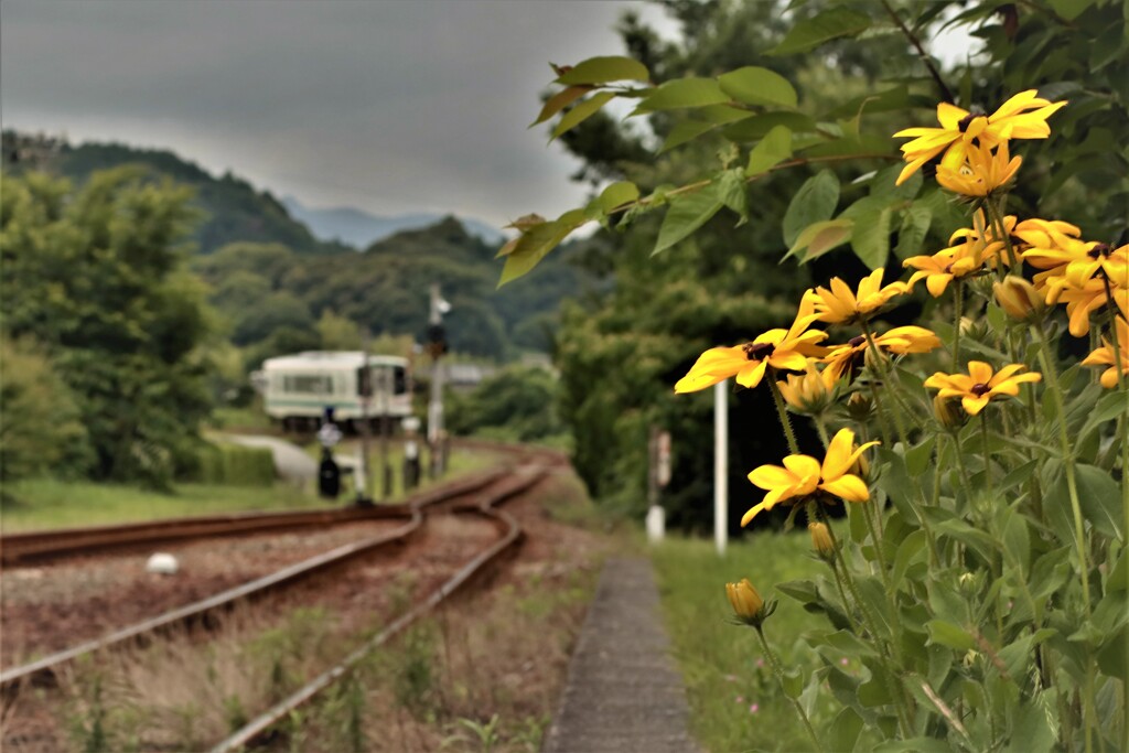 拝啓 芒種の候 原谷駅