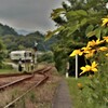 拝啓 芒種の候 原谷駅