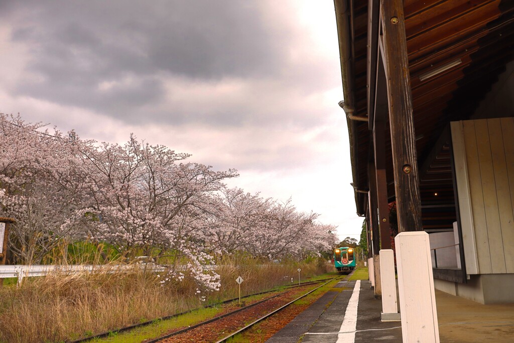 てんはま 都田駅4
