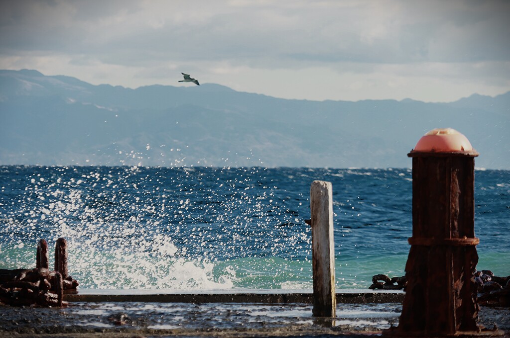 拝啓 冬至の候 三保5