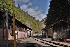 春の日、接岨峡温泉駅1