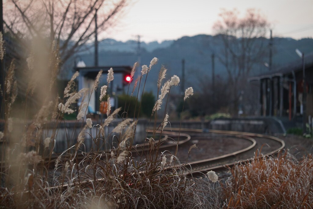 夕暮れ