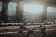 拝啓 大寒の候 佐久米3 