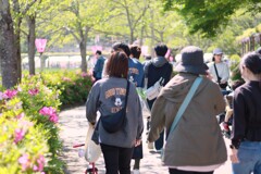 私の散歩道11