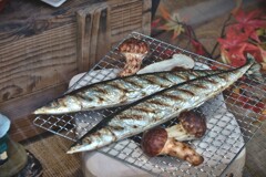 拝啓 霜降の候 郡上八幡15