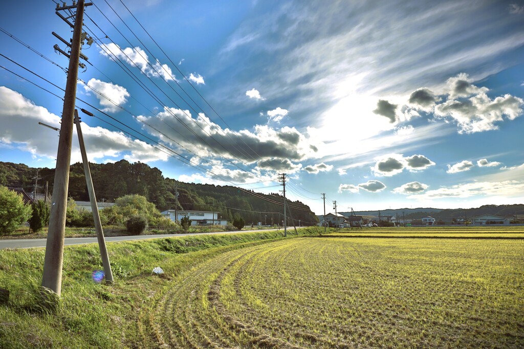 拝啓 小雪の候 一宮2