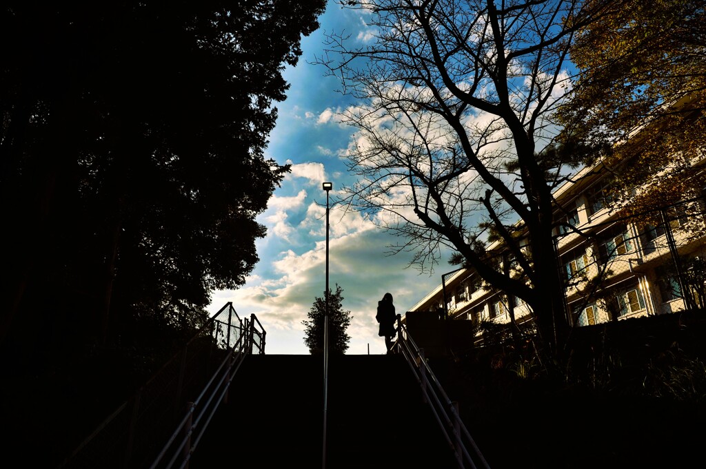 拝啓 立冬の候1