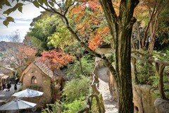 拝啓 小雪の候 ぬくもりの森2