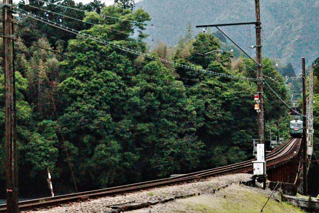 大井川鉄道に乗って30