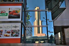 拝啓 小雪の候 浜松2