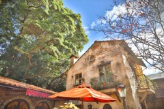 拝啓 小雪の候 ぬくもりの森5