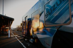 拝啓 小寒の候 桜木5