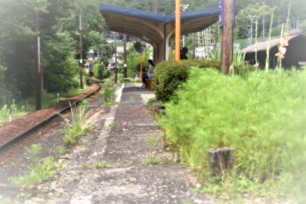 いつでも夢を1