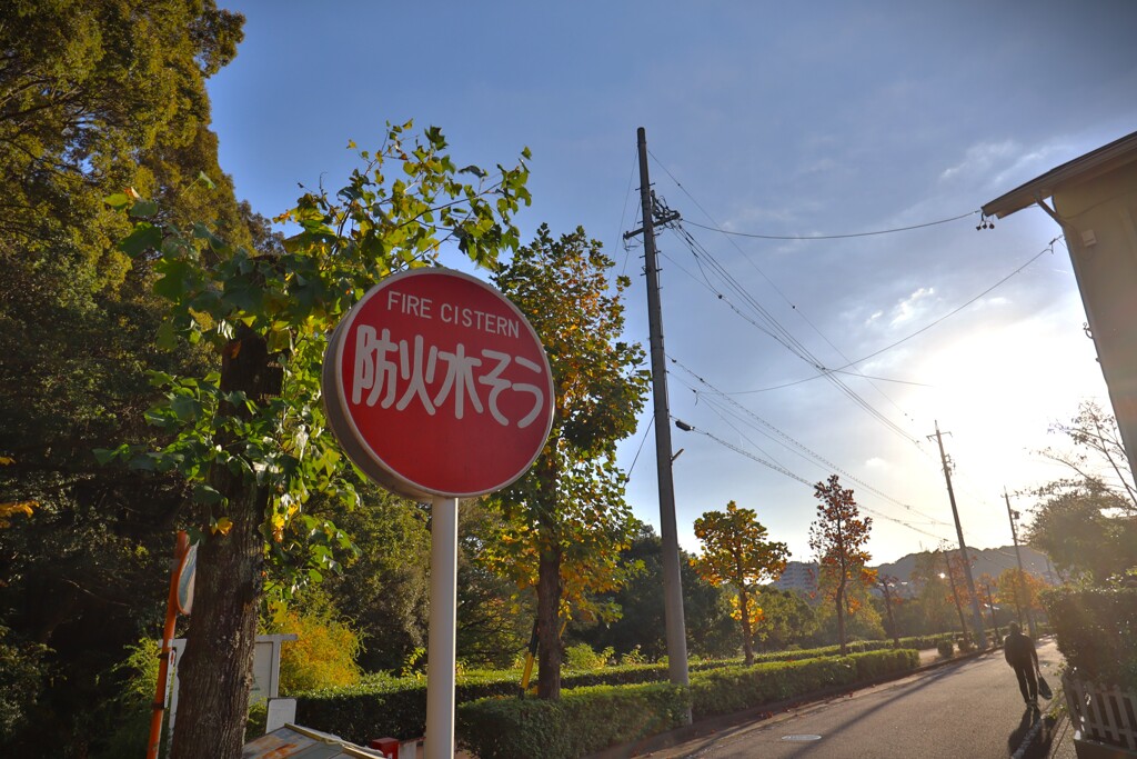 拝啓 立冬の候2