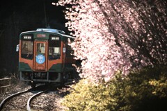 拝啓 雨水の候 天浜線2