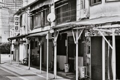拝啓 小暑の候 mono1