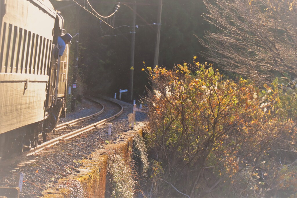 大井川鉄道 SL紀行 7