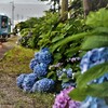 拝啓 芒種の候 桜木駅2