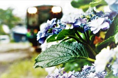 てんはま 桜木駅1-1