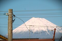 拝啓 大寒の候 岳南3