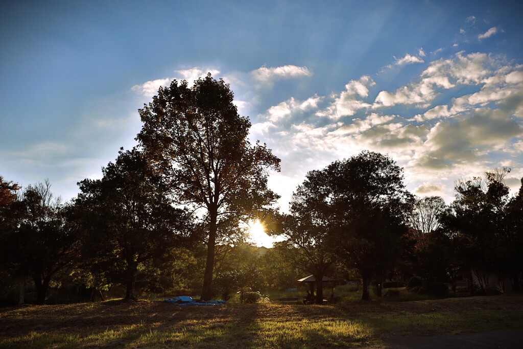 拝啓 立冬の候9
